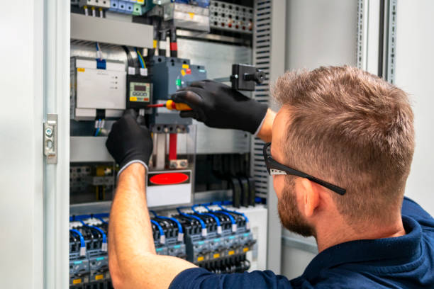 Best Electrical Troubleshooting Services  in Spring Grove, IL