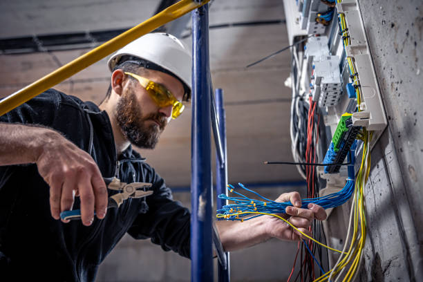 Best Ceiling Fan Installation Electrician  in Spring Grove, IL