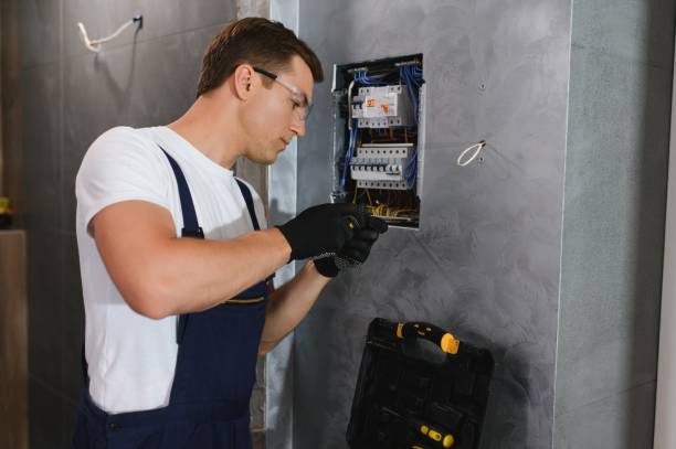 Best Licensed Electrician  in Spring Grove, IL